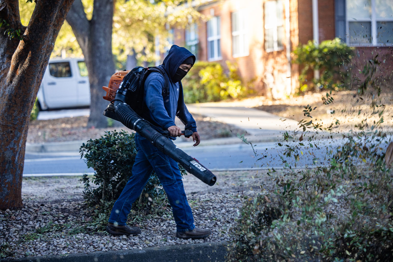 Professional technician